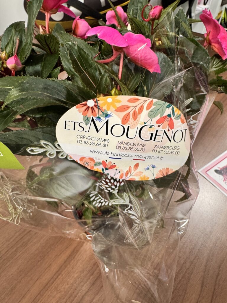 581137535_830150786059280_6167756419215827801_n